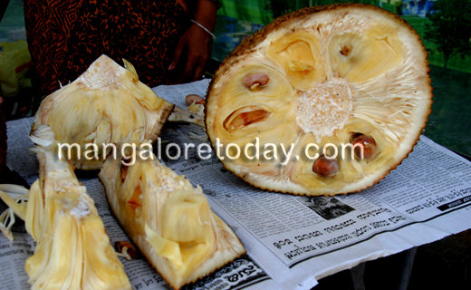 Jack Fruit Mela